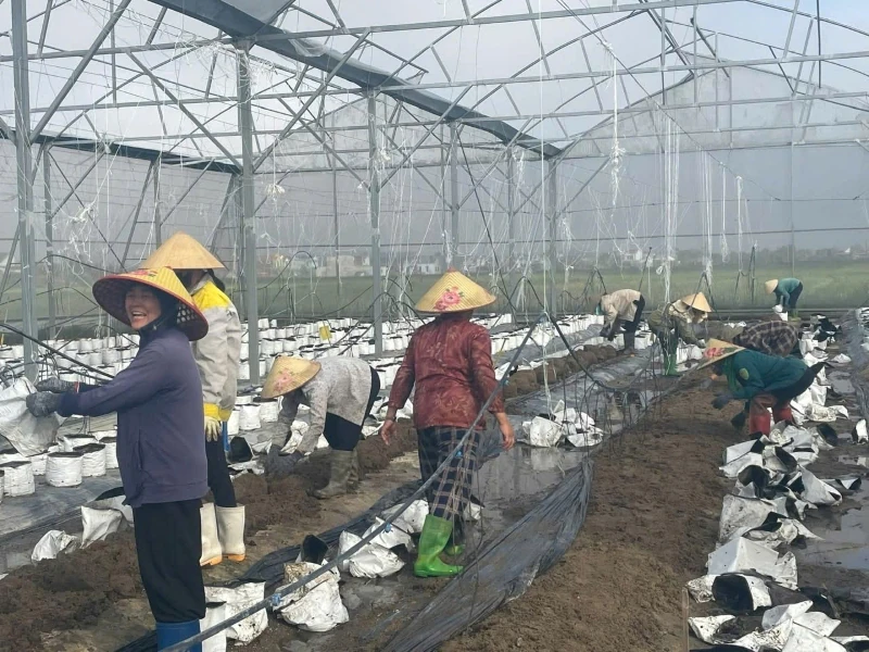 Ươm “chồi xanh” nơi rốn lũ