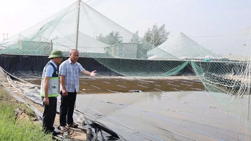 Ươm “chồi xanh” nơi rốn lũ