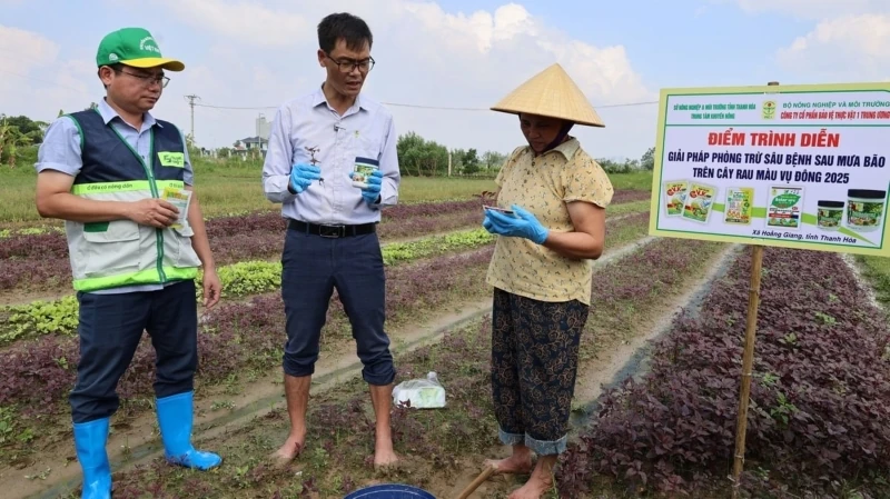 Ươm “chồi xanh” nơi rốn lũ