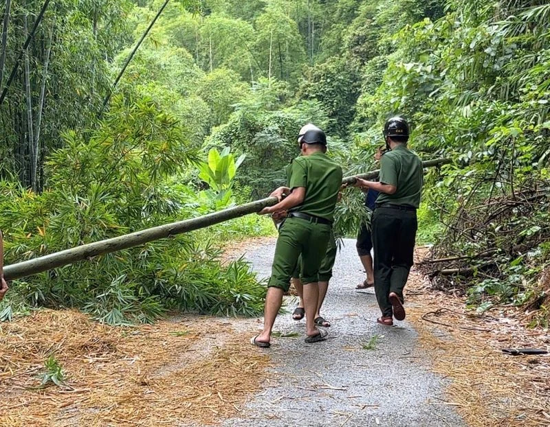 Chung tay bắc cầu tạm để trẻ em ở bản Yên, xã Mường Mìn đến trường