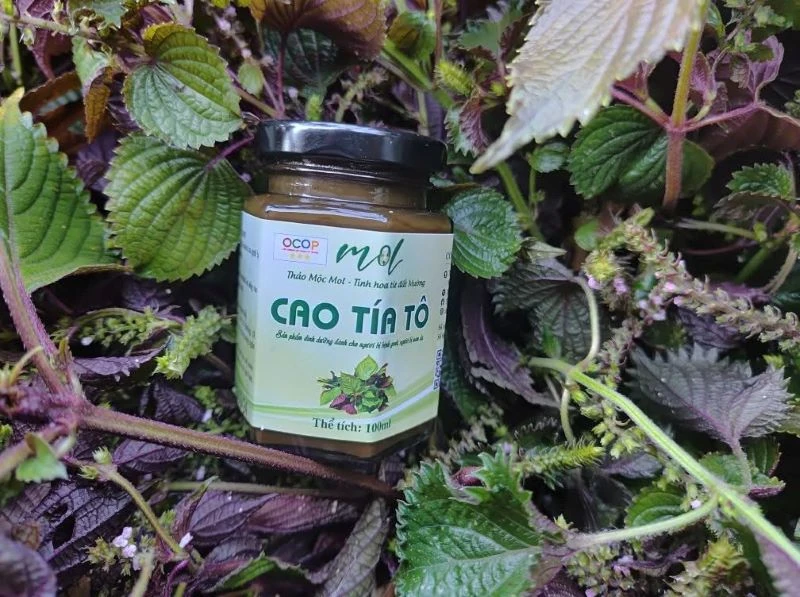 Phụ nữ xã Luận Thành năng động phát triển kinh tế