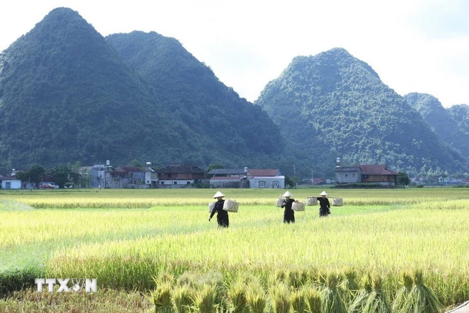 Ghé thăm Làng văn hóa du lịch cộng đồng Quỳnh Sơn - Làng du lịch tốt nhất thế giới