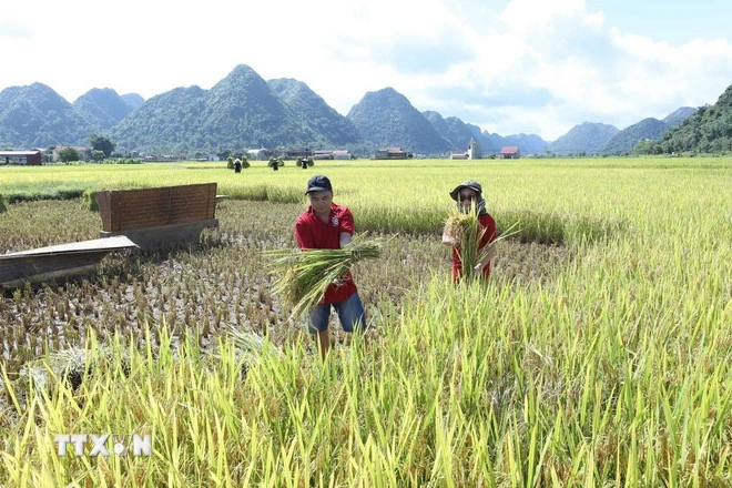 Ghé thăm Làng văn hóa du lịch cộng đồng Quỳnh Sơn - Làng du lịch tốt nhất thế giới