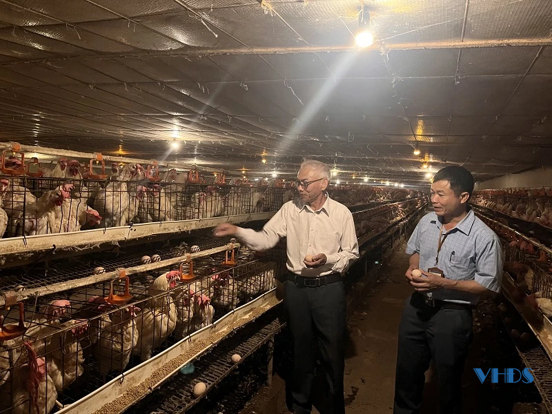 Phát huy vai trò cựu chiến binh trong xây dựng nông thôn mới ở xã Quảng Ninh