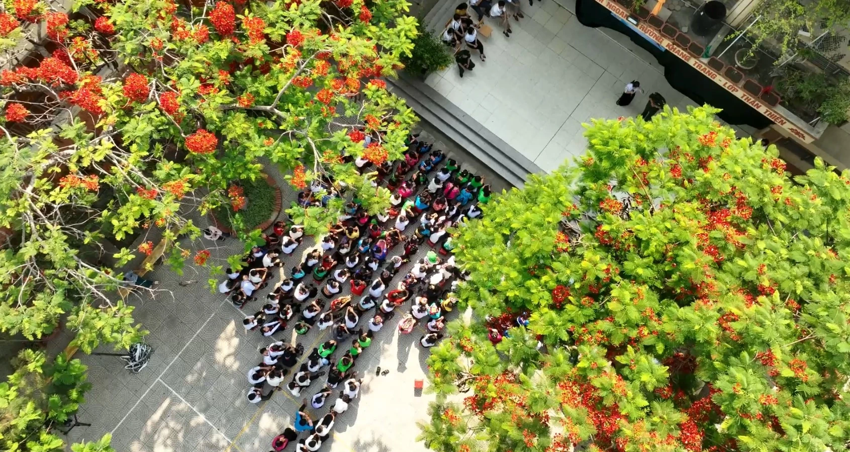 Thanh Hóa - Góc nhìn từ trên cao: Mái trường giữa ngàn xanh