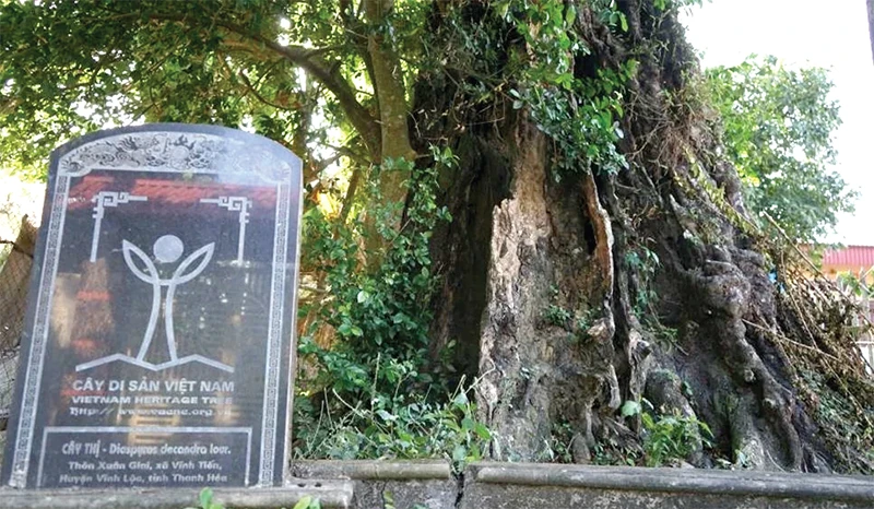 Làng cổ Xuân Giai