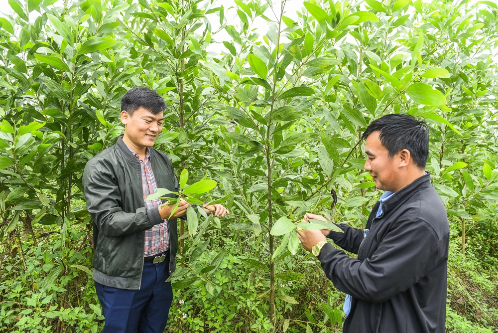 Sức vươn ở thôn đặc biệt khó khăn Đồng Trình