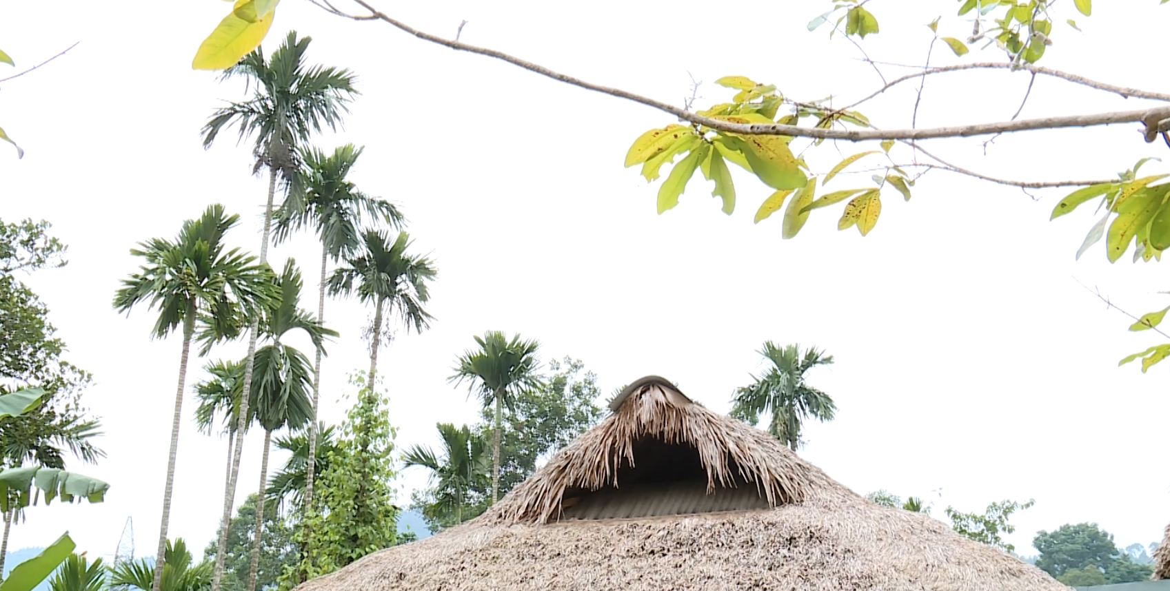 Nơi lưu giữ ký ức