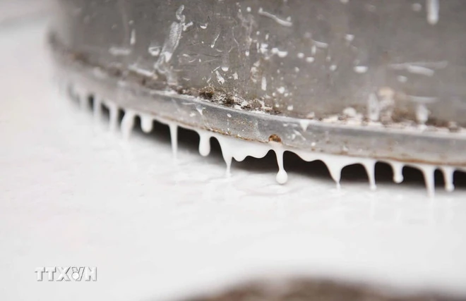 Nghề làm bánh đa nem Thổ Hà - Di sản phi vật thể vùng Kinh Bắc