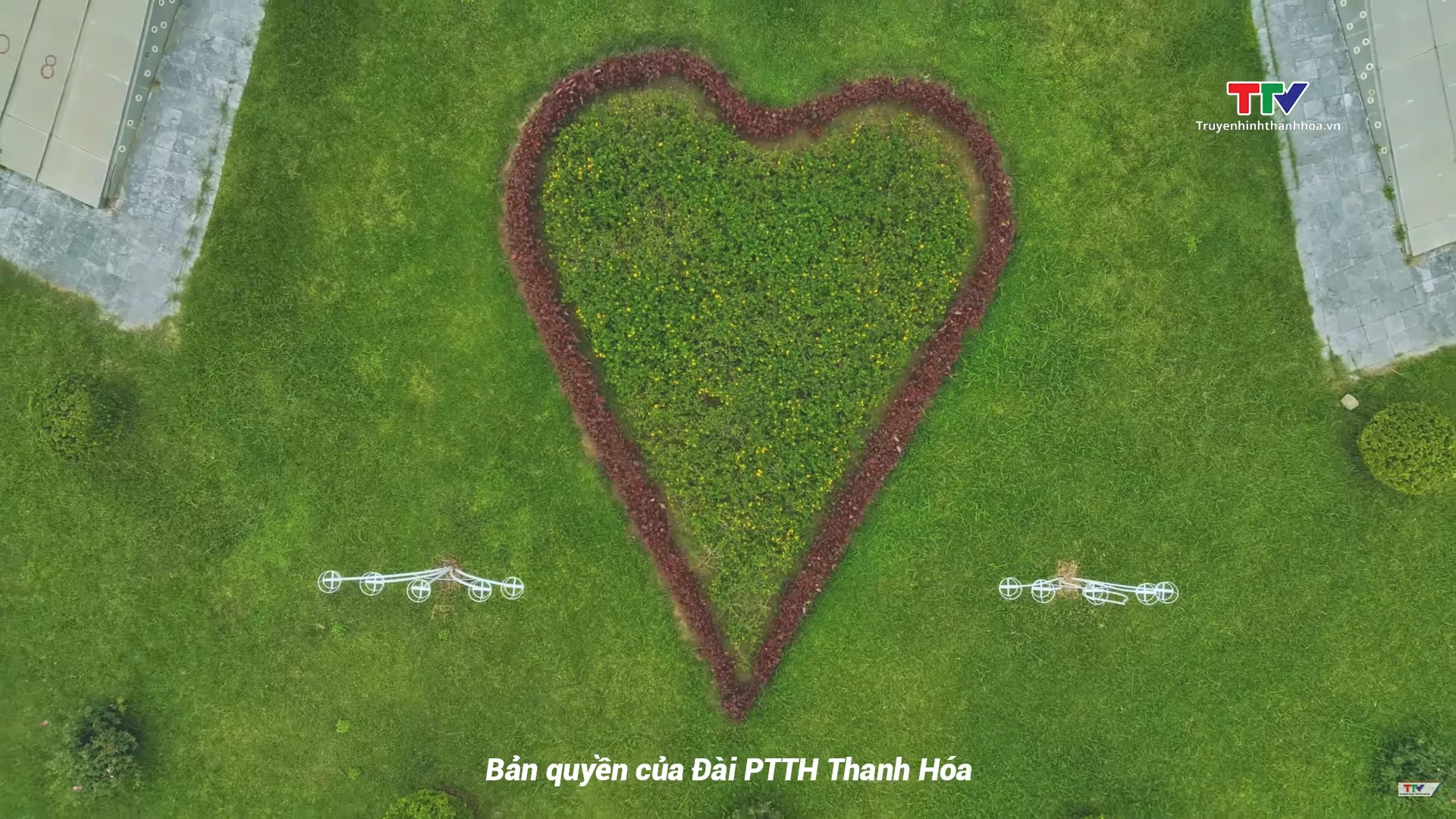 Những điều nhỏ nhoi