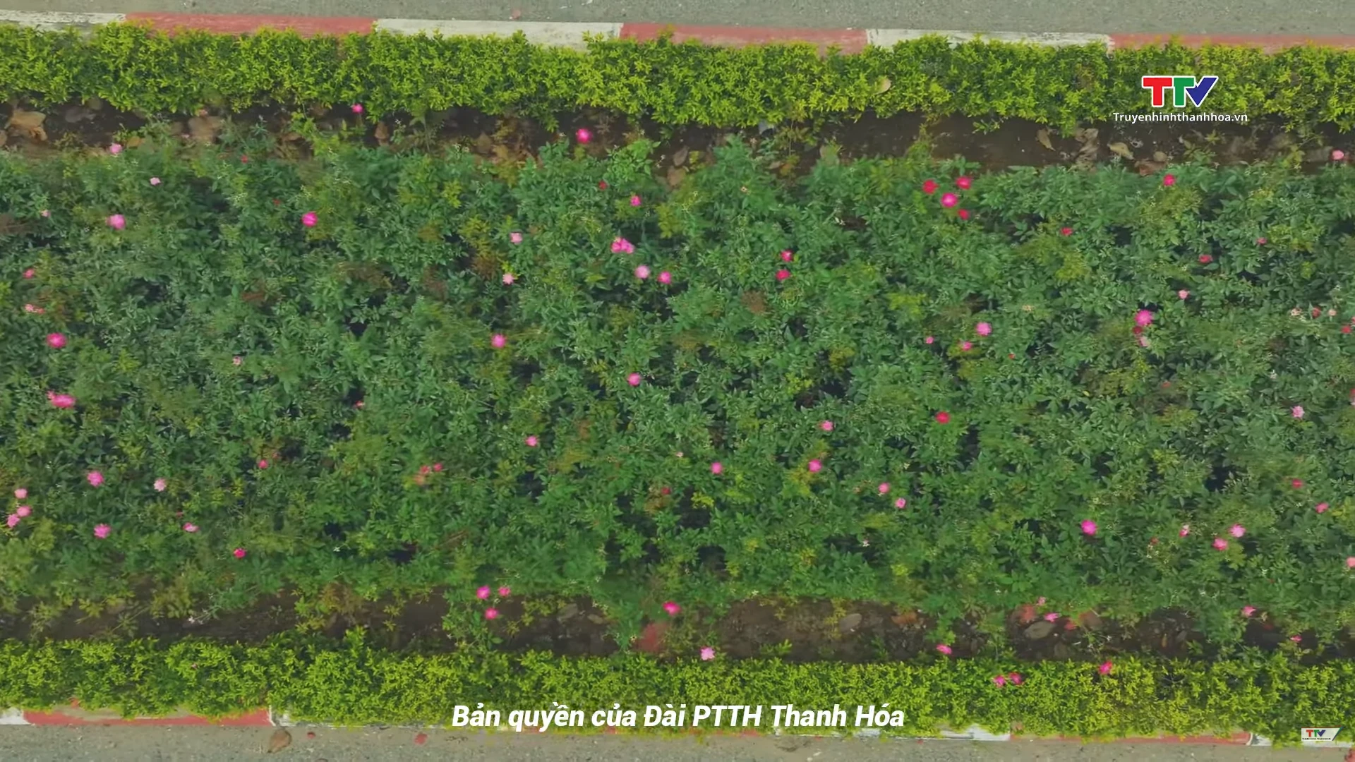 Những điều nhỏ nhoi