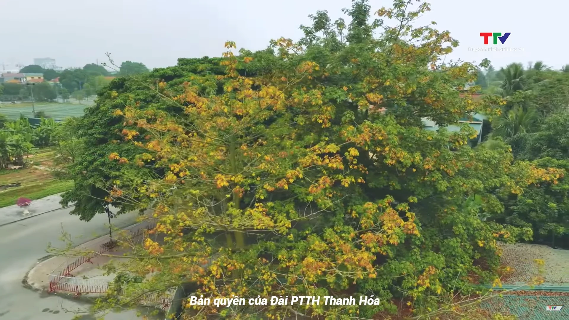 Những điều nhỏ nhoi