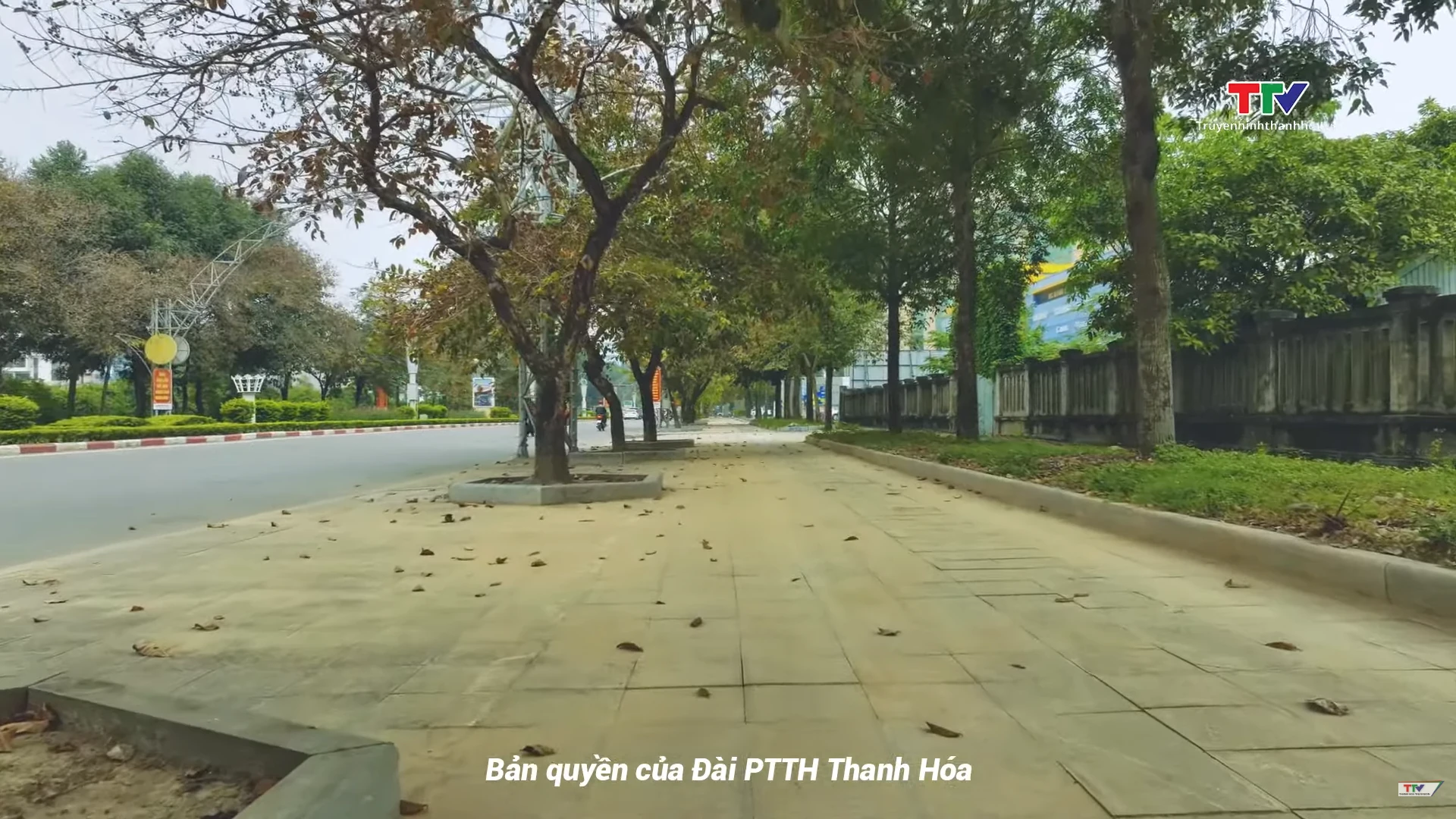 Những điều nhỏ nhoi