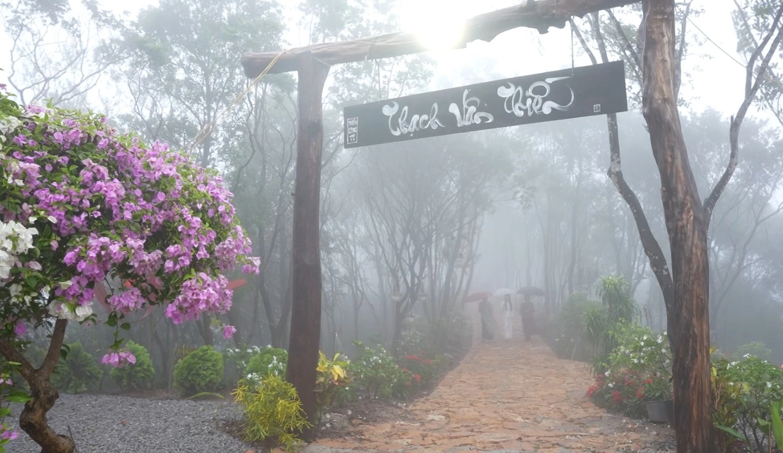 Hành trình về với tĩnh tại