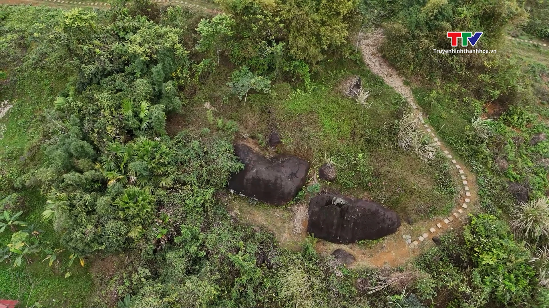 Thiền viện Tùng Lâm – Chốn lặng giữa ngàn
