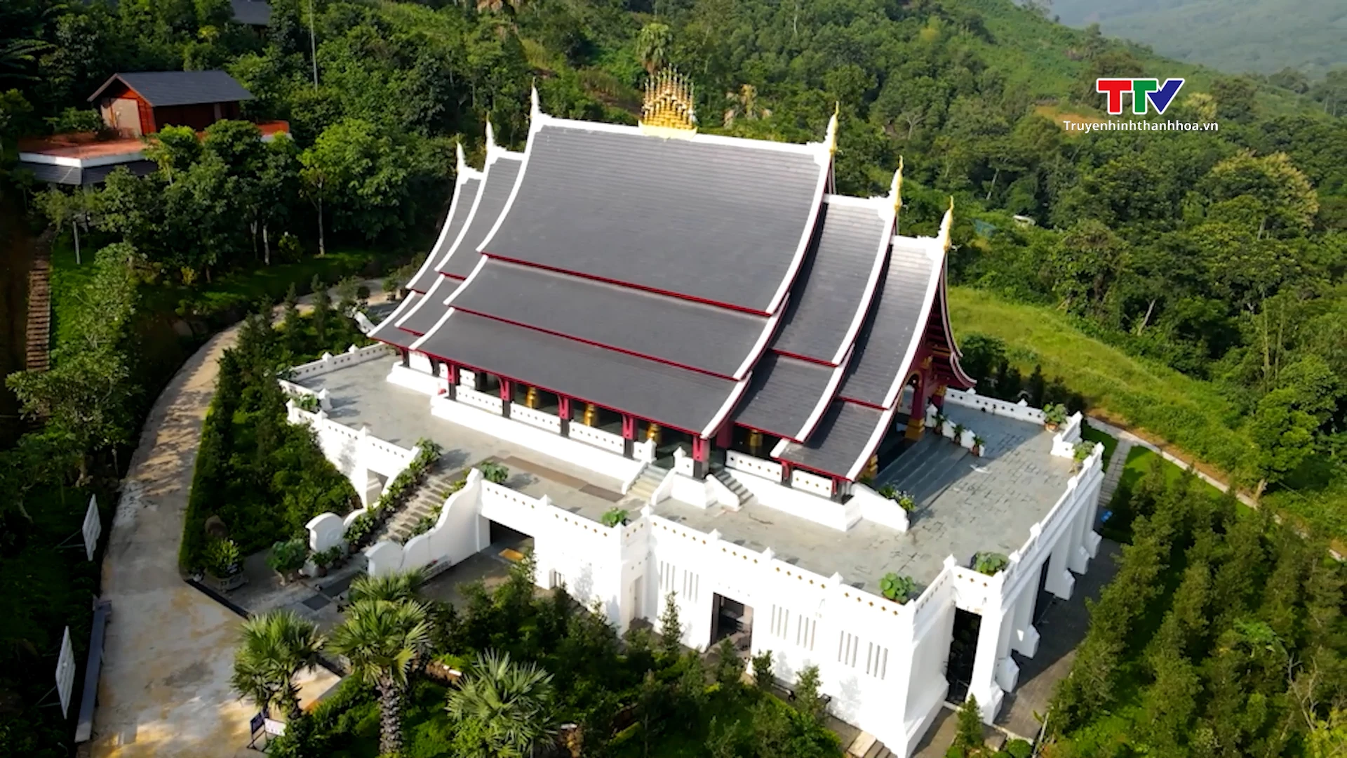 Thiền viện Tùng Lâm – Chốn lặng giữa ngàn