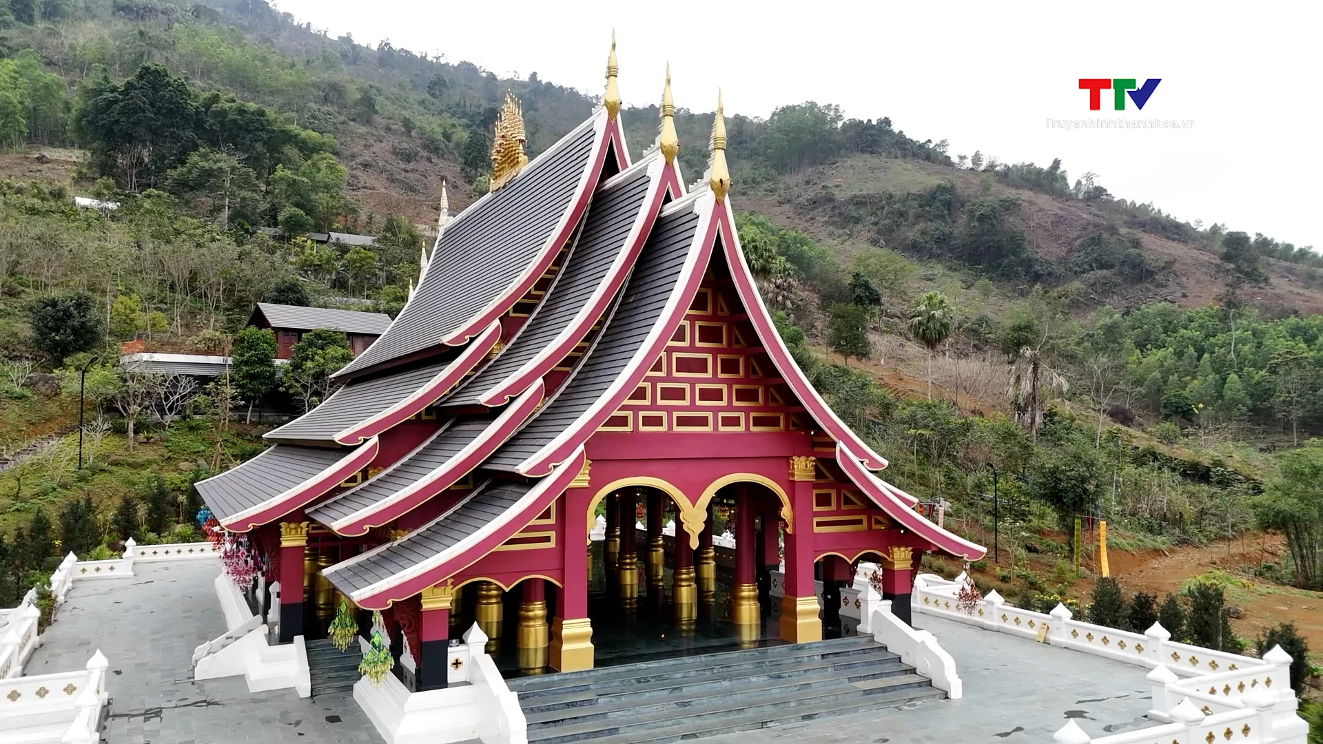 Thiền viện Tùng Lâm – Chốn lặng giữa ngàn