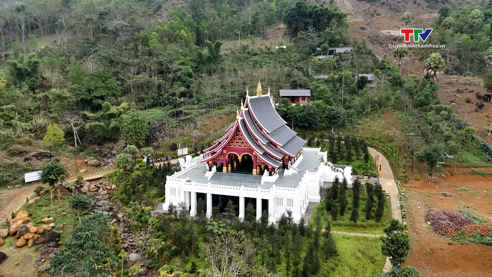 Thiền viện Tùng Lâm – Chốn lặng giữa ngàn