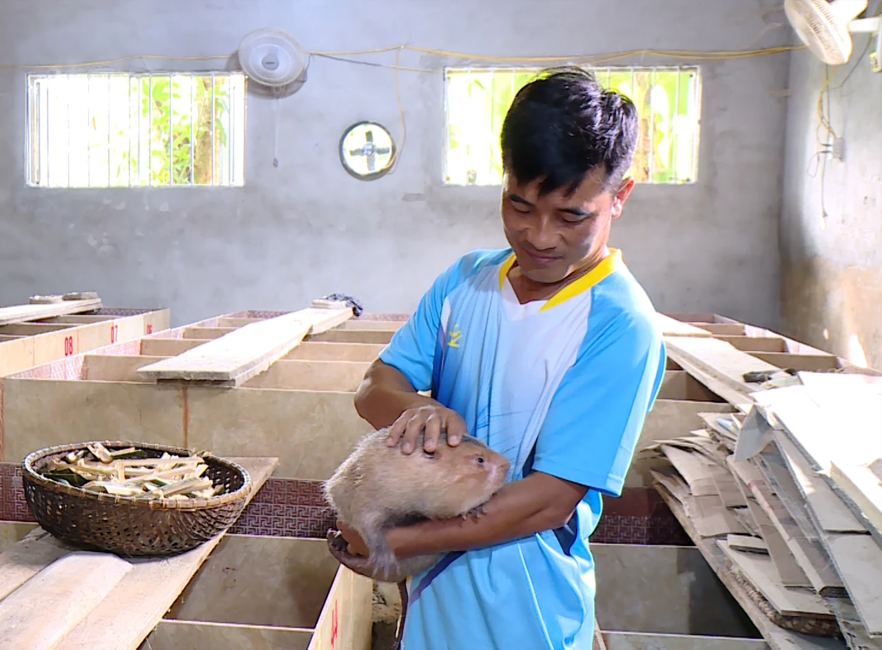 Chàng thanh niên nỗ lực thoát nghèo từ bàn tay trắng