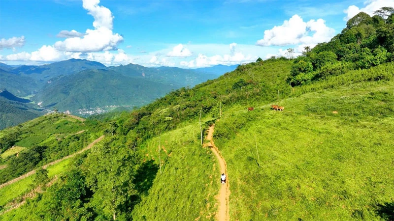 Lên Pha Đén săn mây