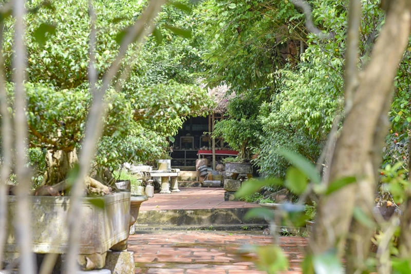 Bảo tàng 50.000 cổ vật giữa núi rừng Vĩnh Lộc