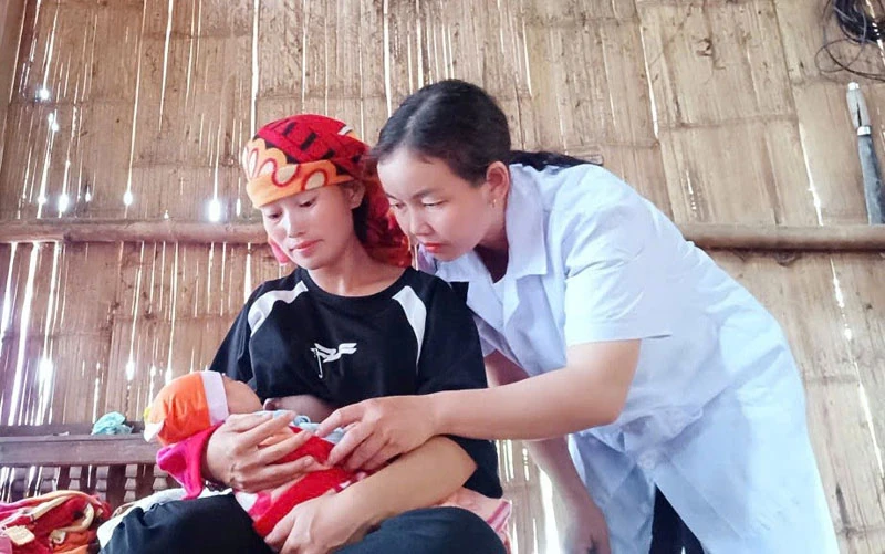 Những người giữ mạch sống nơi đại ngàn