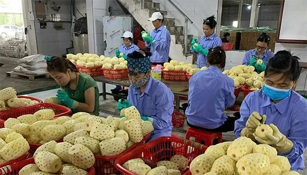 Tăng cường đổi mới hoạt động đo lường, nâng cao chất lượng hàng hóa dựa trên nền tảng khoa học