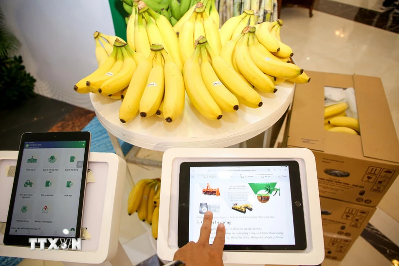 Truy xuất nguồn gốc sản phẩm Việt vẫn kẹt ở nền dữ liệu