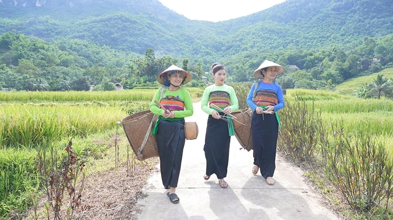 Trên những “dải lụa” vùng cao xứ Thanh (Bài 3): Khi ruộng bậc thang trở thành sản phẩm du lịch