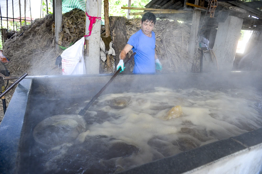 Những giọt mật thơm vào Tết