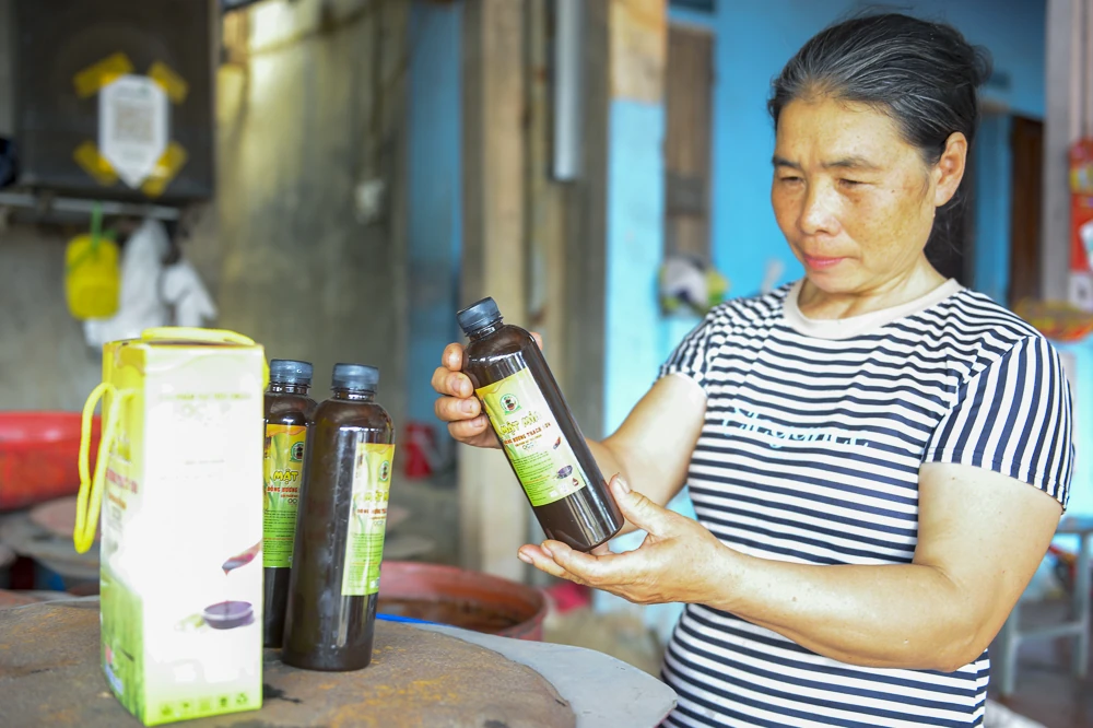 Những giọt mật thơm vào Tết