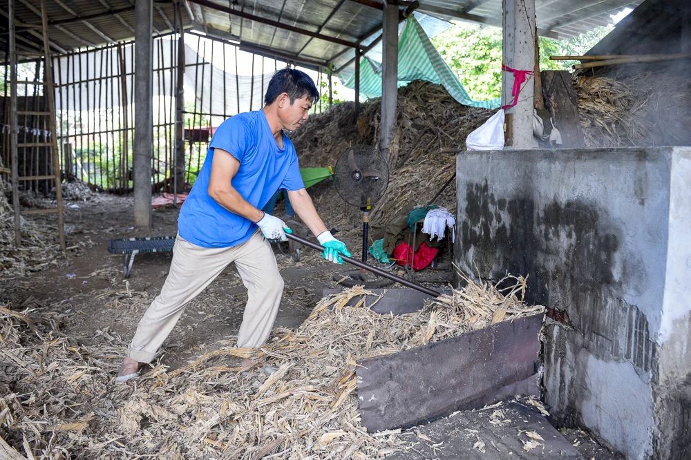 Những giọt mật thơm vào Tết