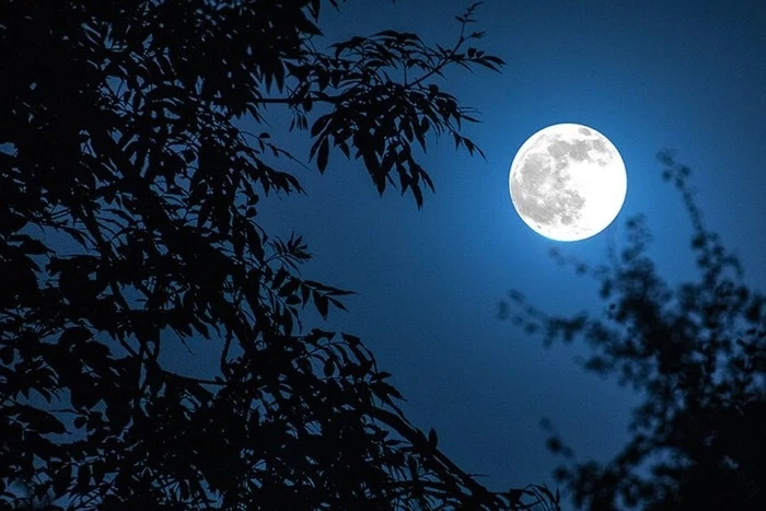 Trăng sáng hiên nhà