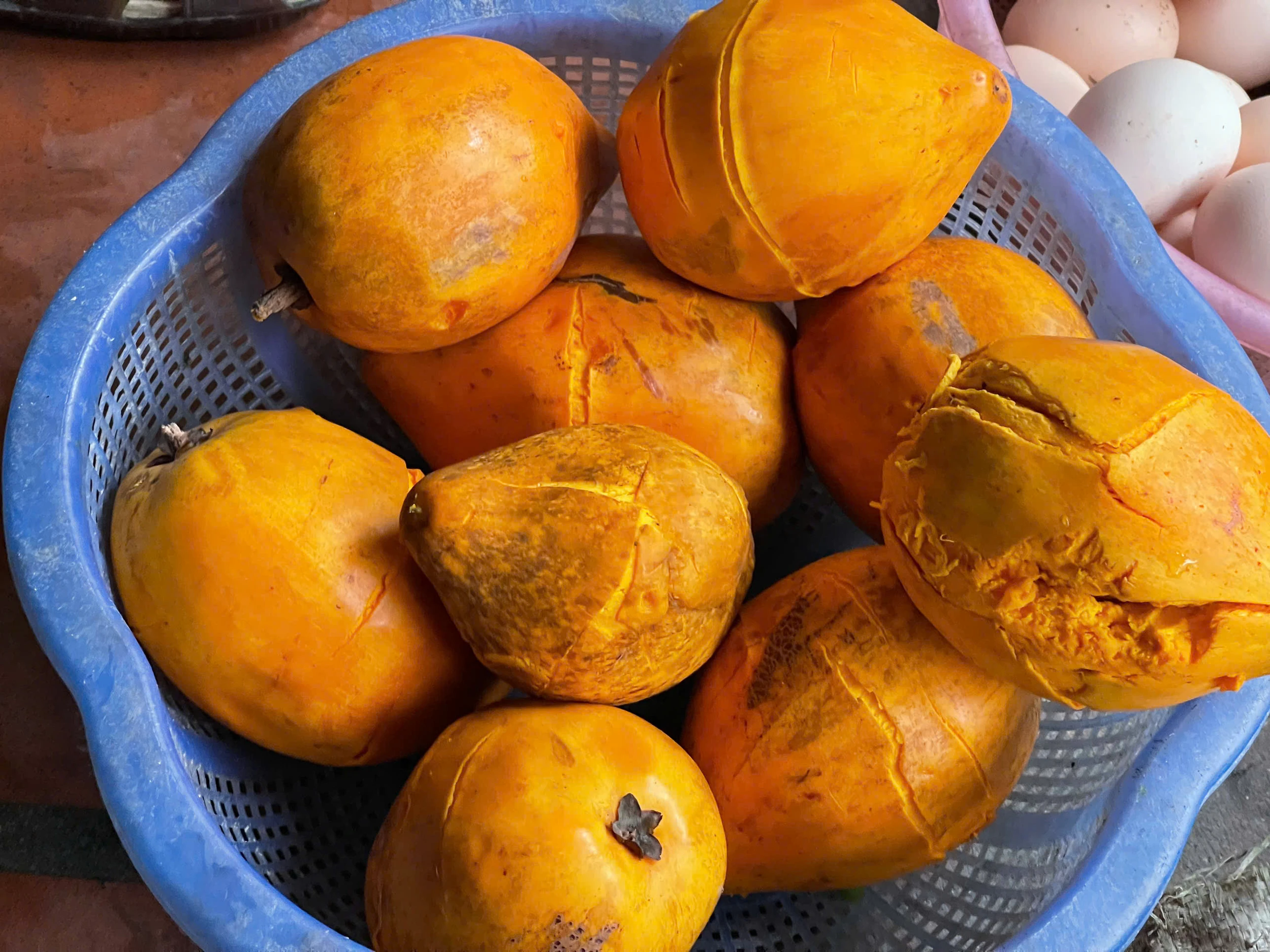 Chợ quê trong lòng phố