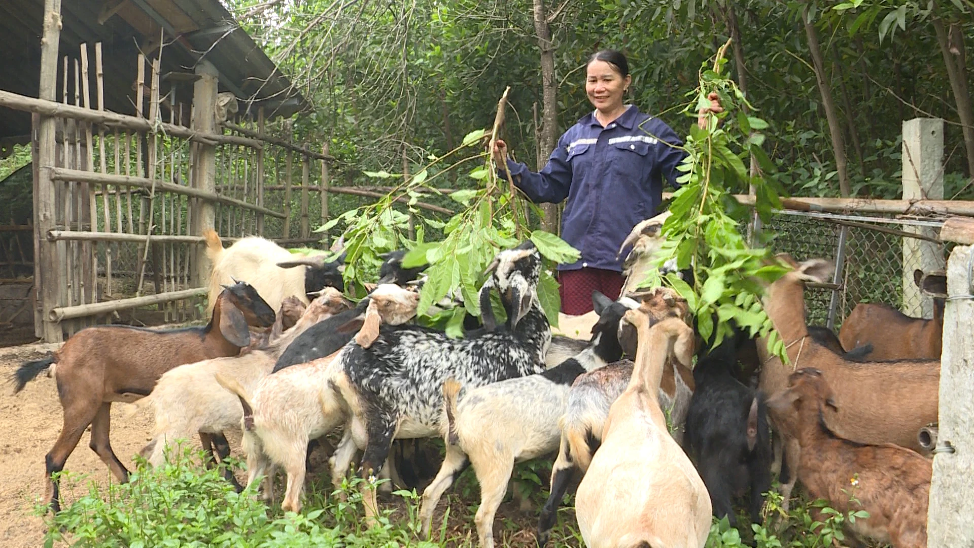 Chị Tuyết “sáu ngón”
