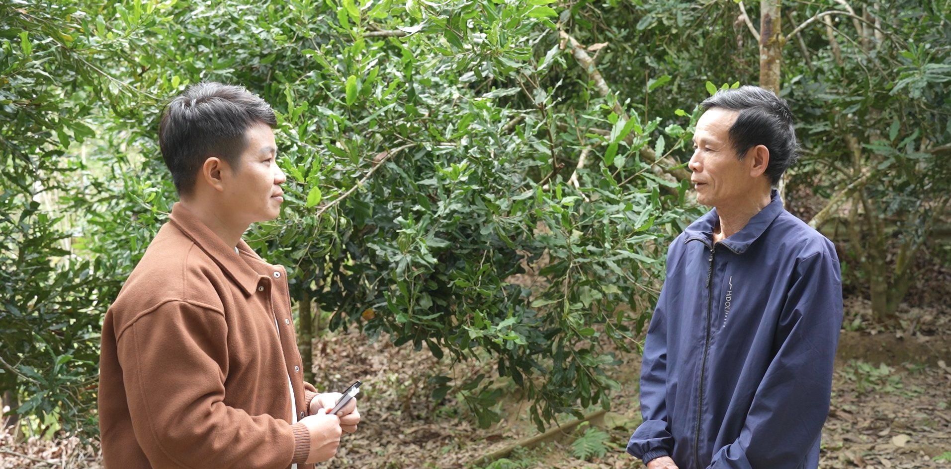 Chuyện về người đưa cây mắc ca về Thiên Phủ