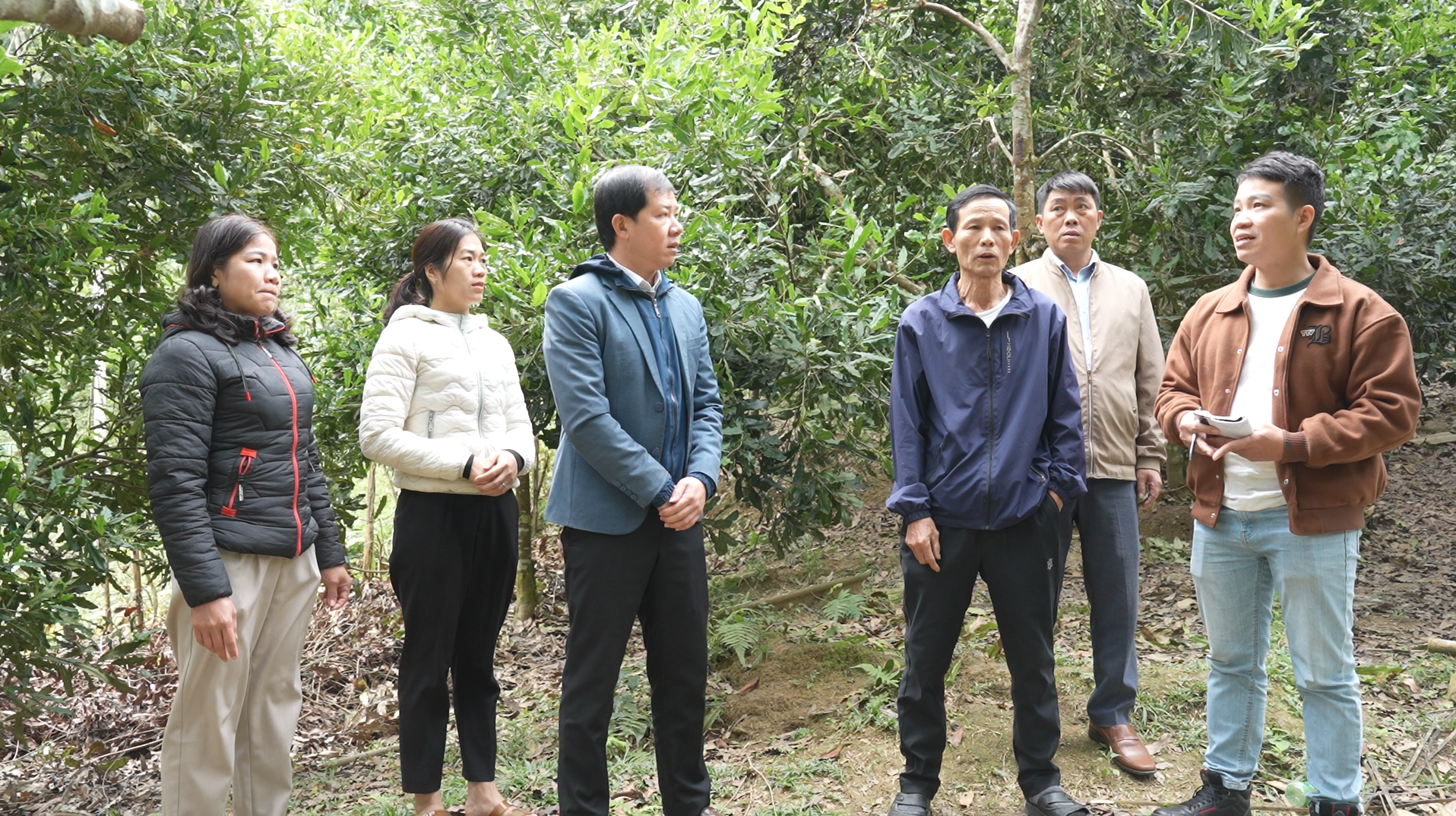 Chuyện về người đưa cây mắc ca về Thiên Phủ