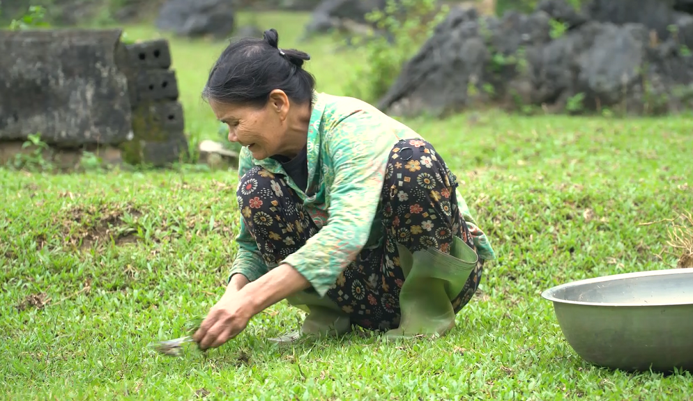 Người ở lại “làng phong” - Bài cuối: “Đất chết” hồi sinh