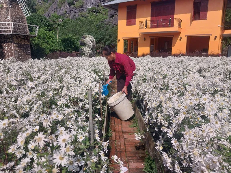 Ở vườn hoa 4 mùa...