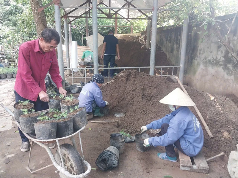 Ở vườn hoa 4 mùa...