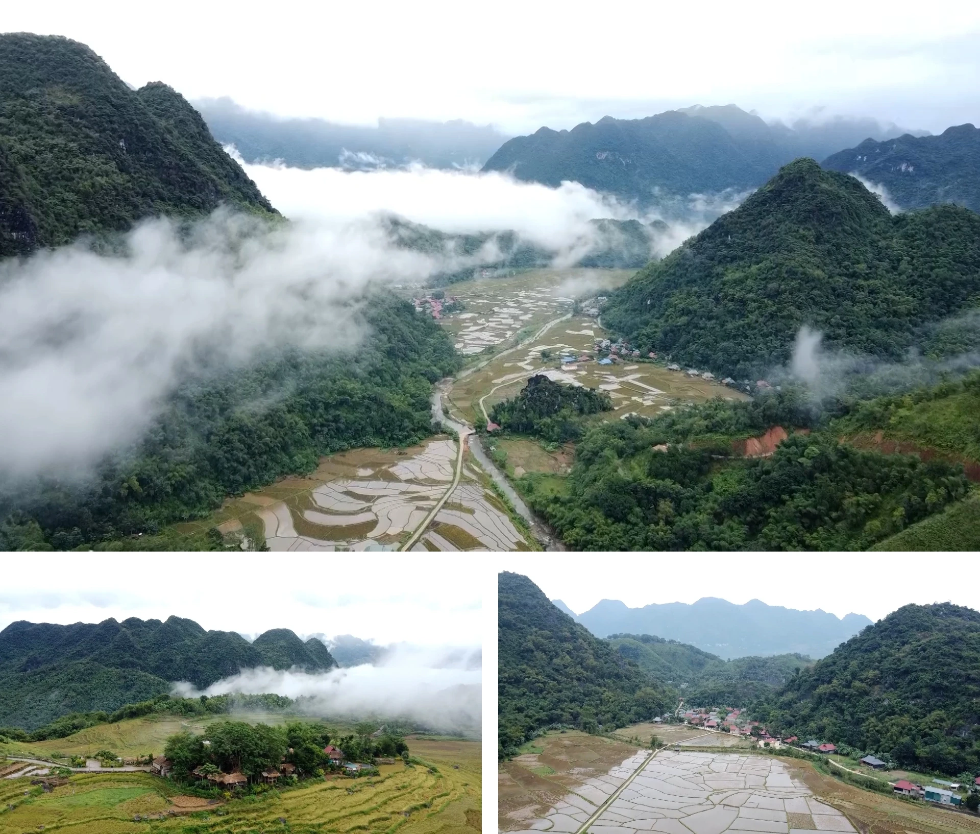 [E-Magazine] Đám cưới trên non