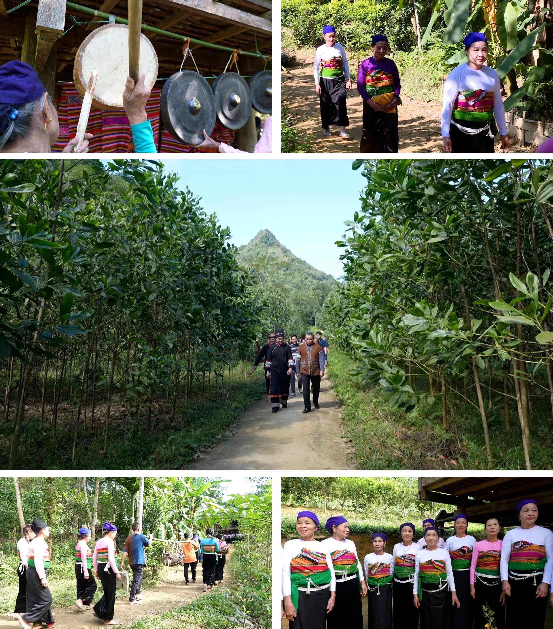 [E-Magazine] Đám cưới trên non