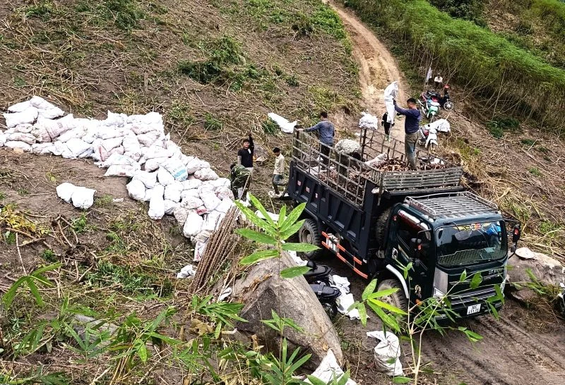 Mùa sắn mới ở Mường Lý