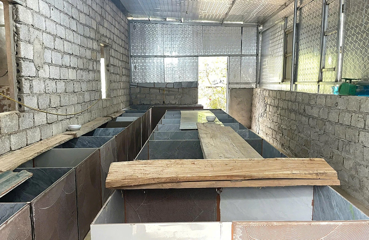 Mô hình nuôi Dúi mở hướng làm giàu bền vững ở bản Lát, xã Tam Chung