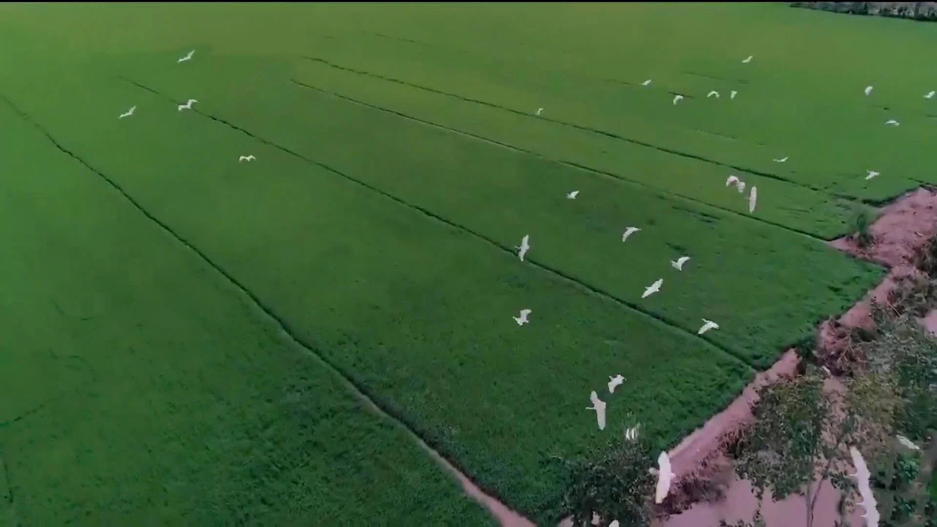 Khi doanh nhân làm nhạc (Bài 2): Thanh Hóa oai hùng