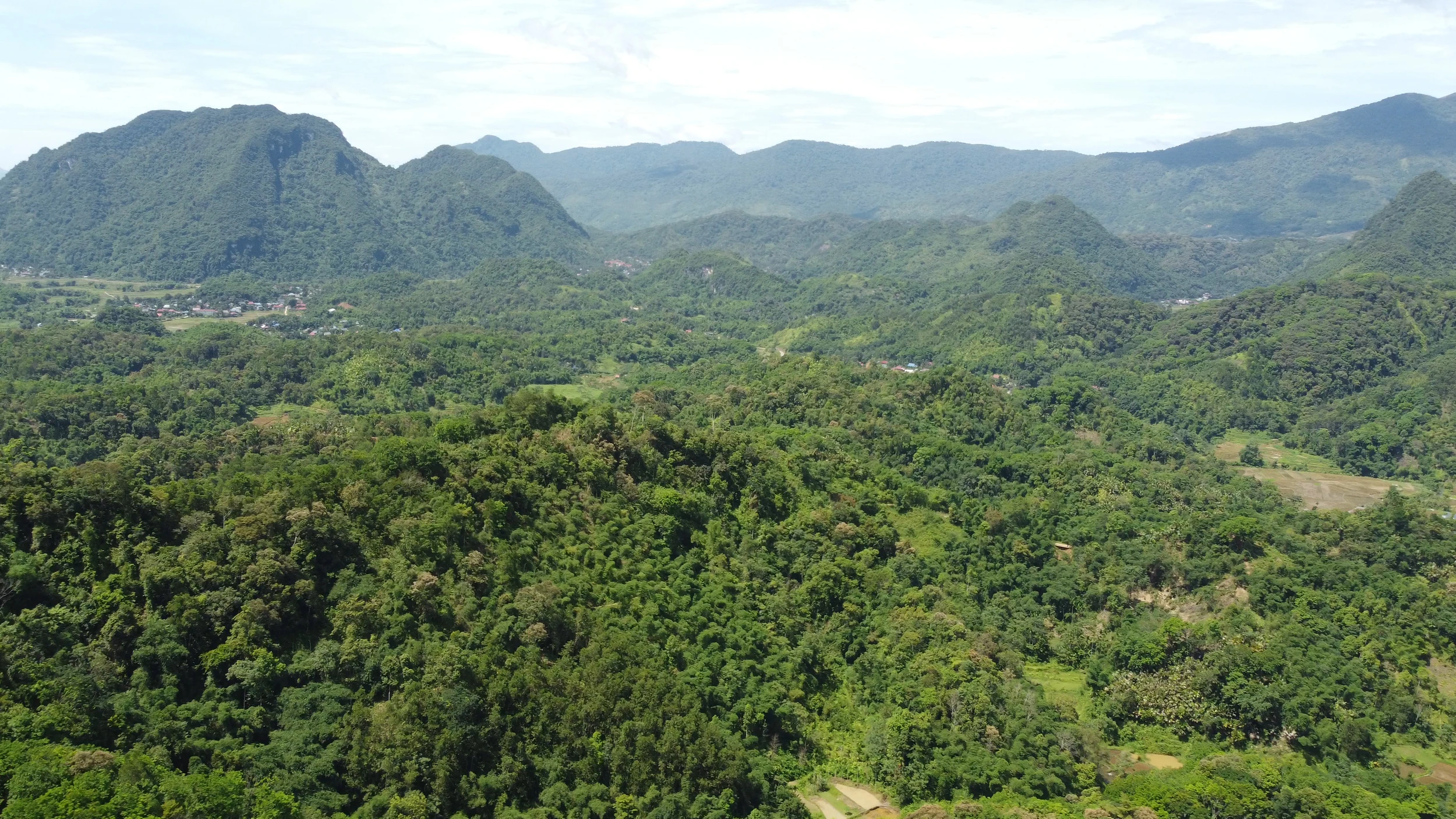 Vui buồn chuyện người giữ rừng trên dãy Pù Luông