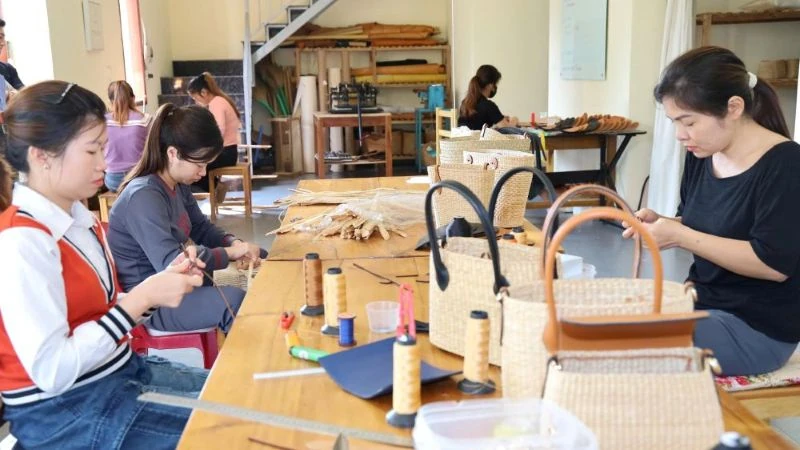 Giấc mơ ở làng nghề cói