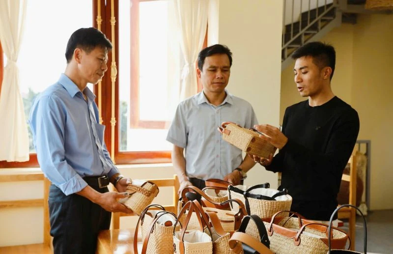 Giấc mơ ở làng nghề cói