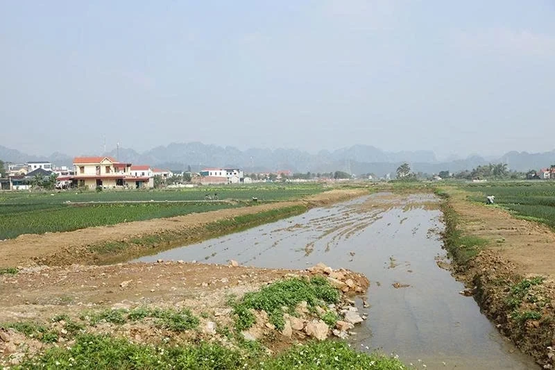 Duy trì và mở rộng kết quả đạt được từ Chiến dịch làm giàu, làm sạch cơ sở dữ liệu đất đai