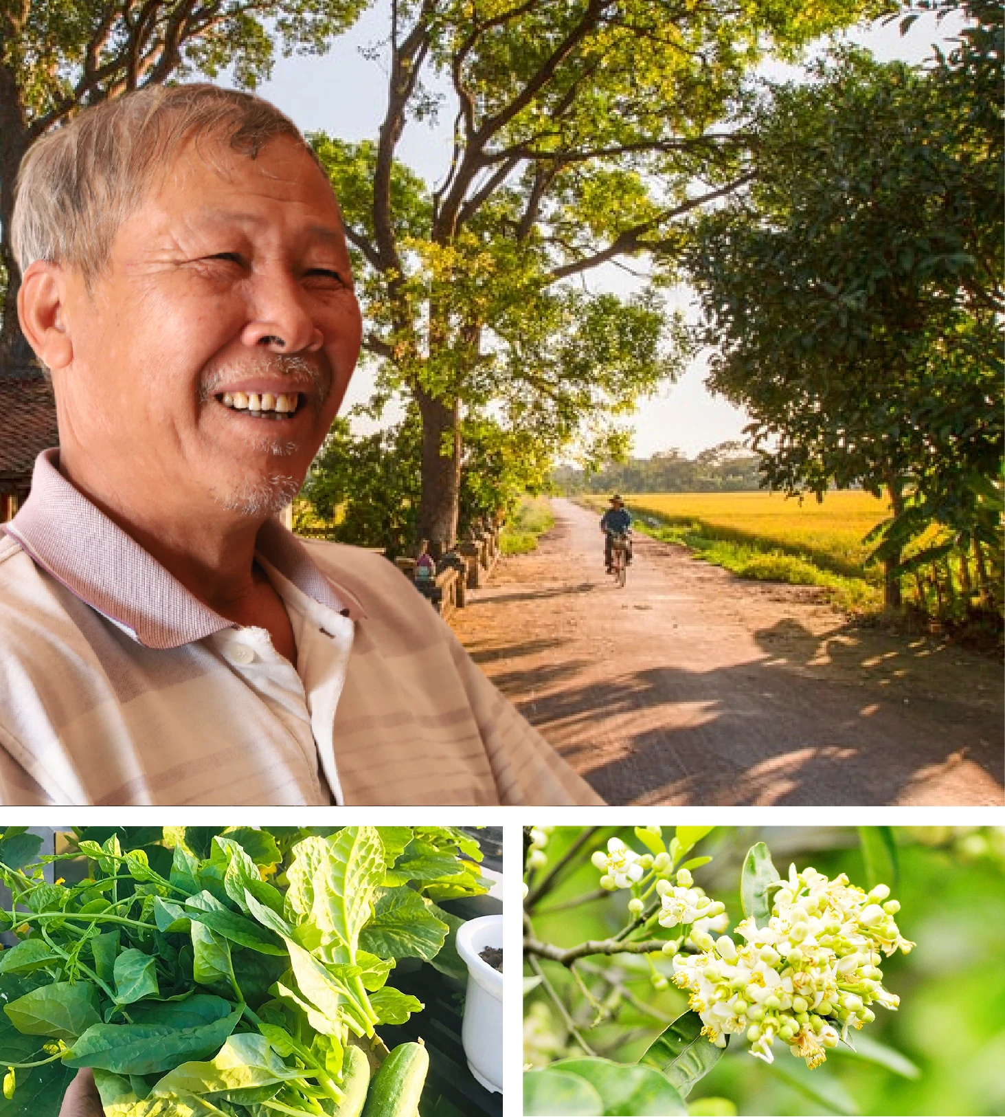 [E-Magazine] Những cuộc đời được giữ lại và hành trình lặng lẽ của người thầy thuốc